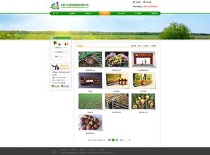 奧遠科技 云南領(lǐng)先的網(wǎng)站建設(shè)與App開發(fā)技術(shù)服務(wù)商